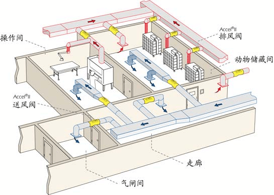 動物實驗室暖通設計：凈化動物房裝修  CEIDI西遞