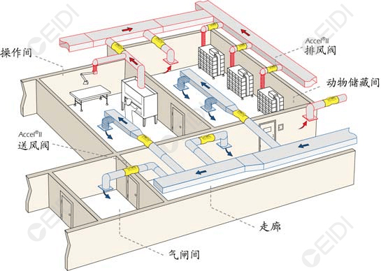 動物實驗室暖通設計：凈化動物房裝修  CEIDI西遞