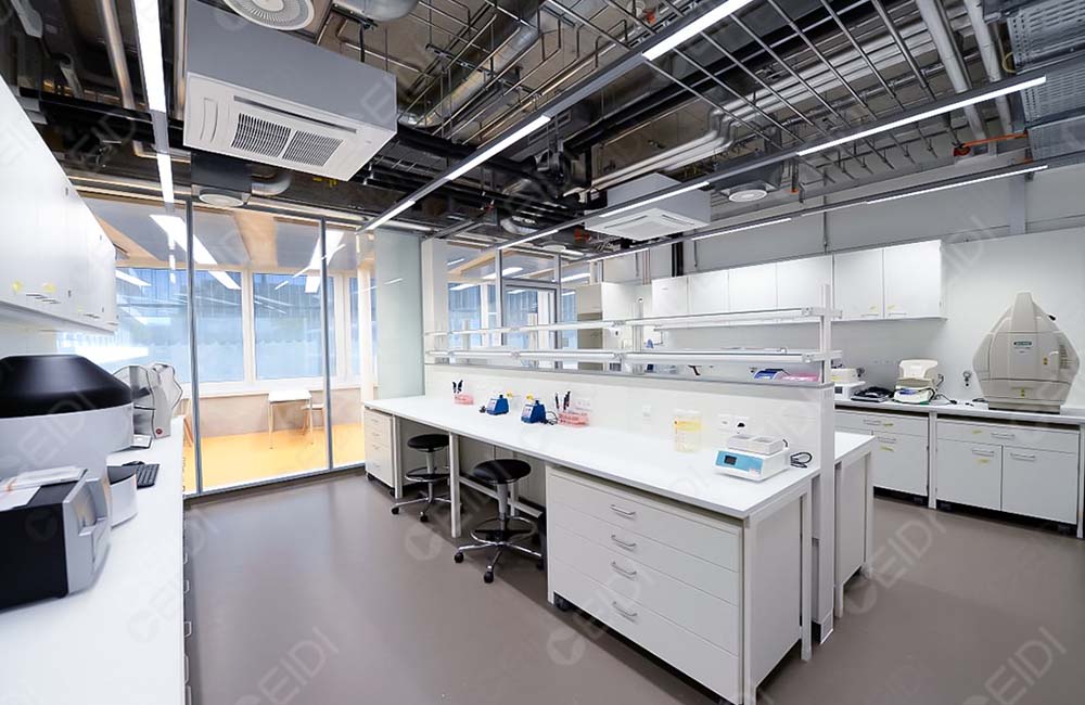 生物醫藥工程建設：分子生物與蛋白純化實驗室設計